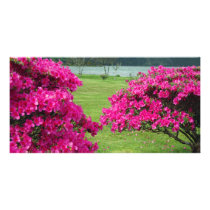 Azaleas Customized Photo Card