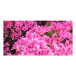 Azaleas Custom Photo Card