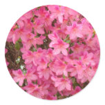 AZALEAS Pink Azalea Flowers STICKERS STICKER SHEET