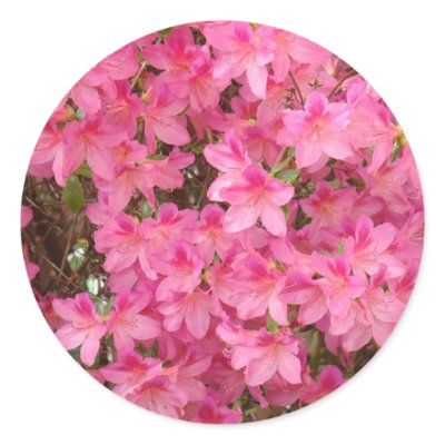 AZALEAS Pink Azalea Flowers STICKERS STICKER SHEET by Basleeartprintgifts