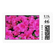 Azaleas postage by erin_kathleen Azaleas postage