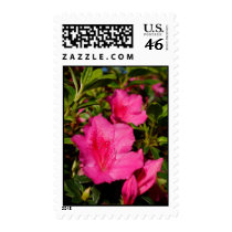 Azaleas Postage
