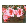 Azaleas Post Cards