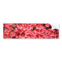 Azaleas. Pretty Pink Flowers. Bumper Sticker