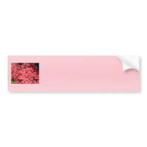 Azaleas. Pretty Pink Flowers. Bumper Sticker