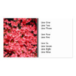 Azaleas. Pretty Pink Flowers. Business Card Templates