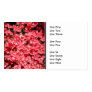 Azaleas. Pretty Pink Flowers. Business Card Templates
