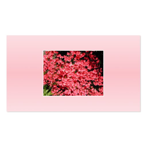 Azaleas. Pretty Pink Flowers. Business Card (back side)