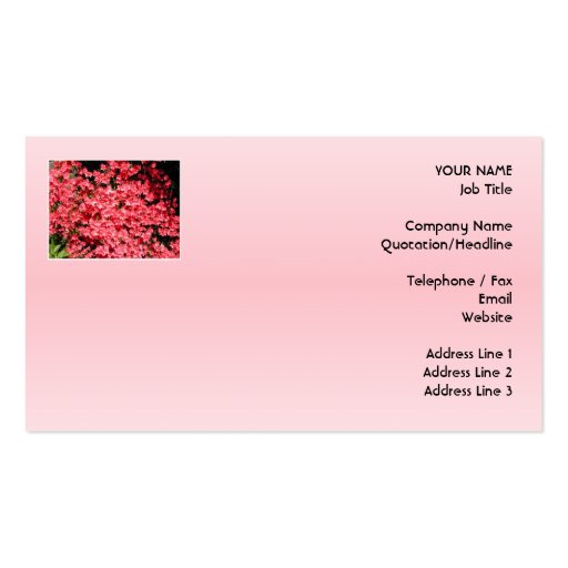 Azaleas. Pretty Pink Flowers. Business Card (front side)