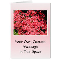 Azaleas. Pretty Pink Flowers. Greeting Card