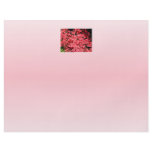 Azaleas. Pretty Pink Flowers. Flyer Design