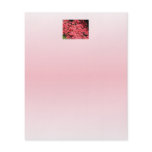Azaleas. Pretty Pink Flowers. Flyers