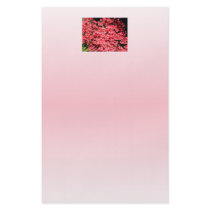 Azaleas. Pretty Pink Flowers. Custom Flyer