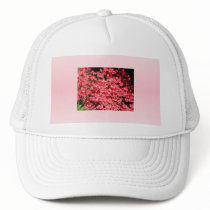 Azaleas. Pretty Pink Flowers. Mesh Hat