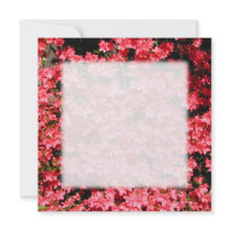 Azaleas. Pretty Pink Flowers. Invite