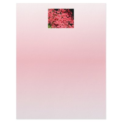 Azaleas. Pretty Pink Flowers. Personalized Letterhead by PsyborgAli