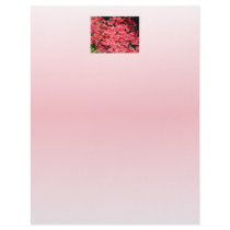 Azaleas. Pretty Pink Flowers. Personalized Letterhead