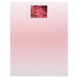 Azaleas. Pretty Pink Flowers. Personalized Letterhead