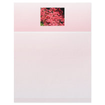 Azaleas. Pretty Pink Flowers. Letterhead