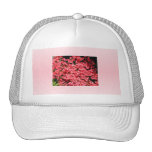 Azaleas. Pretty Pink Flowers. Mesh Hat