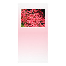 Azaleas. Pretty Pink Flowers. Photo Card Template