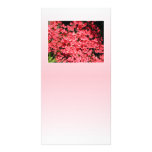 Azaleas. Pretty Pink Flowers. Photo Card Template