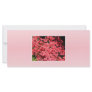 Azaleas. Pretty Pink Flowers. Customized Rack Card