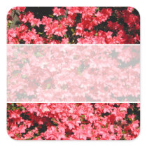 Azaleas. Pretty Pink Flowers. Sticker