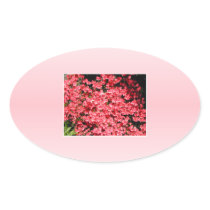 Azaleas. Pretty Pink Flowers. Stickers