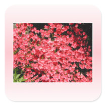 Azaleas. Pretty Pink Flowers. Square Stickers