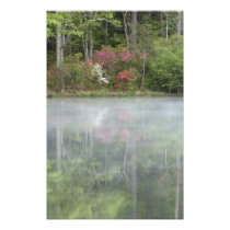 Azaleas relfecting in a pond during early