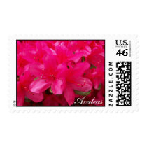 Azaleas Stamp