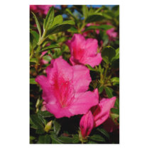Azaleas Customized Stationery