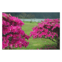 Azaleas Customized Stationery