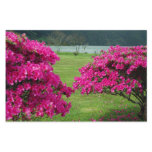 Azaleas Customized Stationery