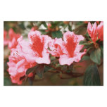 Azaleas Customized Stationery
