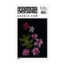 Azaleas y sello de Oakleaf