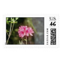 azalia postage
