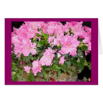 Azalias91 cards by Randall_Snyder Azalias91 cards