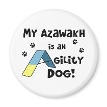 Azawakh Agility Dog magnets