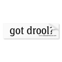 AZBHR got drool? Bumper Sticker bumper stickers by azbassetrescue AZBHR got drool? Bumper Sticker bumper stickers