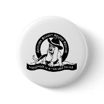 AZBHR LOGO PINS
