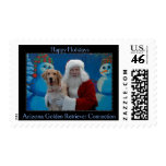 AZGRC Holiday Stamp - Black