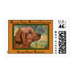 AZGRC Stamp Saving Golden Retrievers