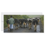 Azorean farmer customized rack card