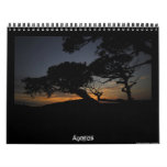Azores 2011 Calendar