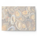 Azores limpets "lapas" envelope