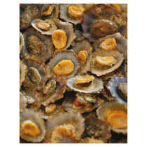 Azores limpets "lapas" flyers