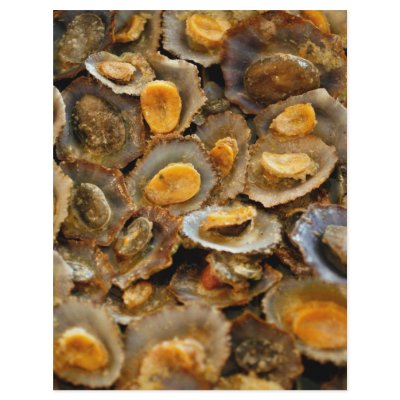 Azores limpets "lapas" full color flyer by gavila_pt