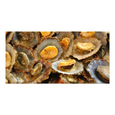 Azores limpets "lapas" personalized photo card by gavila_pt